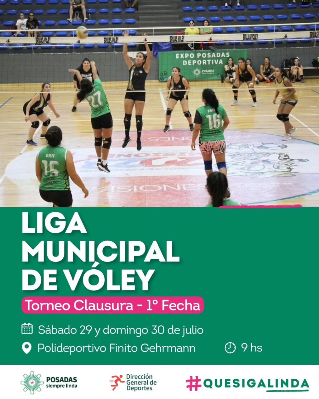 LIGA VOLEY