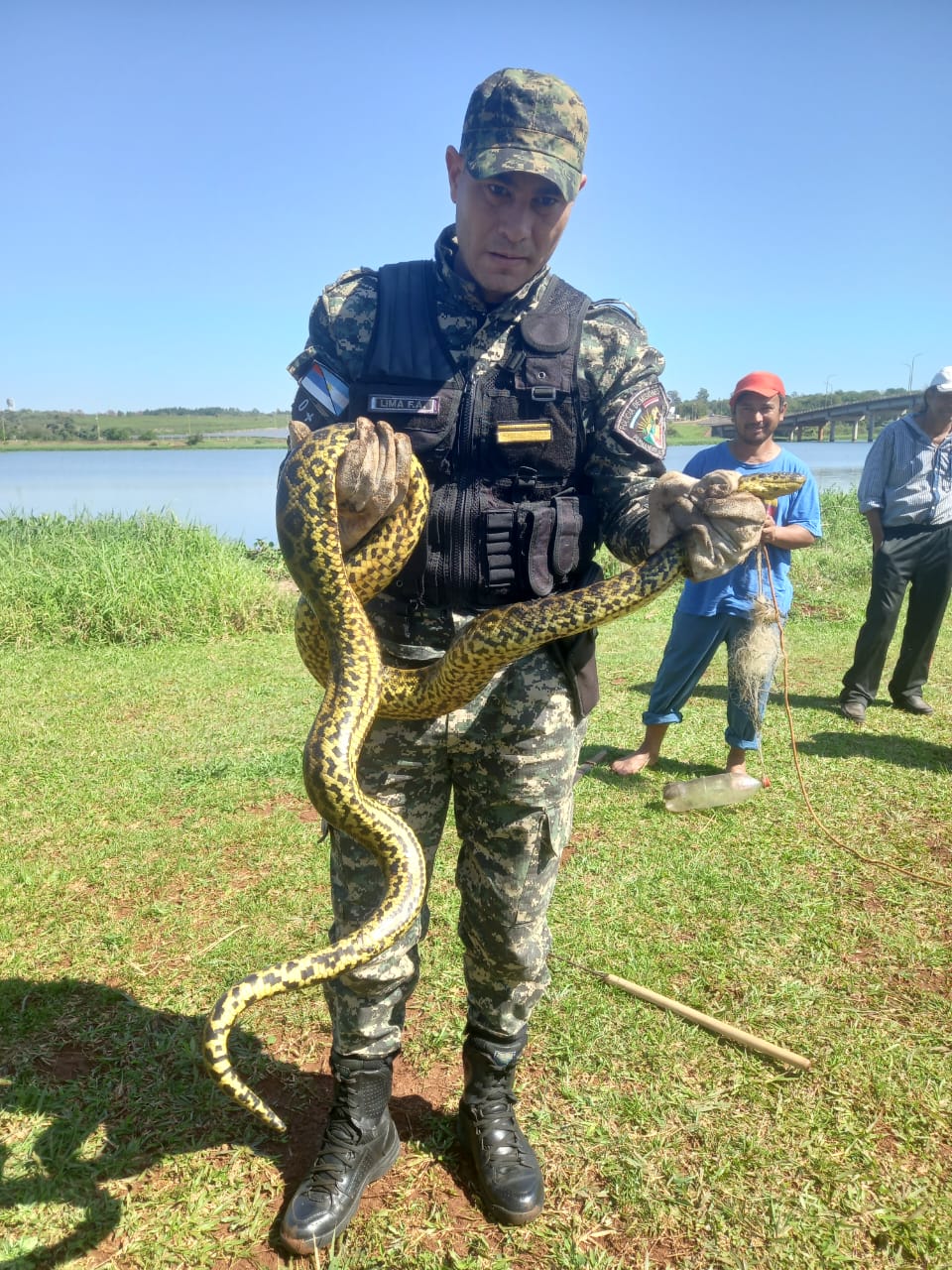 BOA CURIYÚ