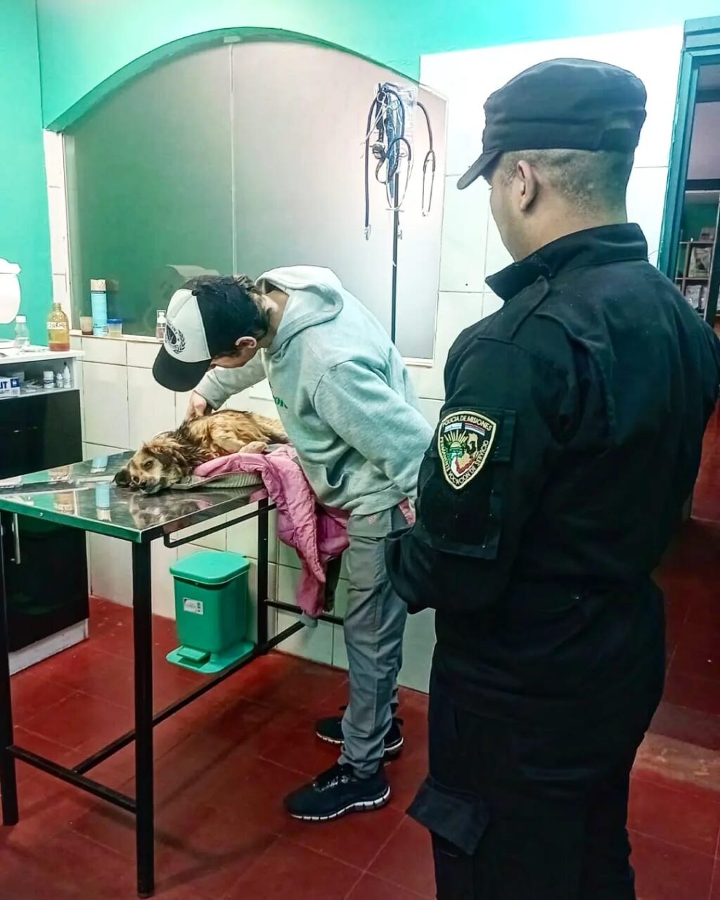 PERRO RECATADO