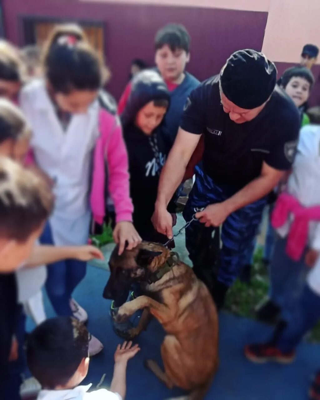 CHARLA SOBRA MASCOTAS