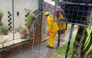 2 PERROS ELECTROCUTADOS