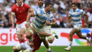 GRANDE LOS PUMAS