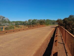 RUTA-19
