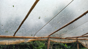 Ayuda Granizo 3