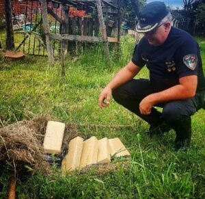 LADRILLOS DE MARIHUANA