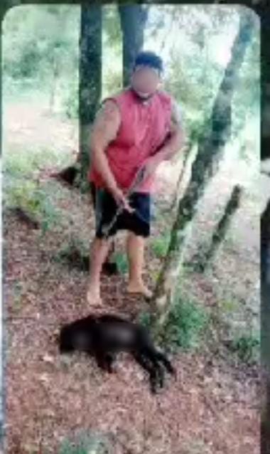 PERRO MALTRATADO