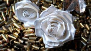 ROSAS POR LA PAZ