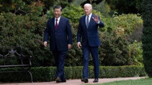 XI-BIDEM