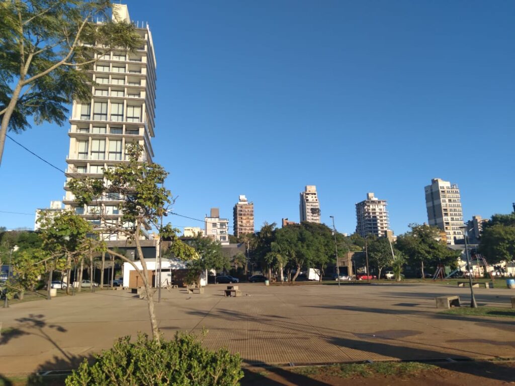 multi vista
