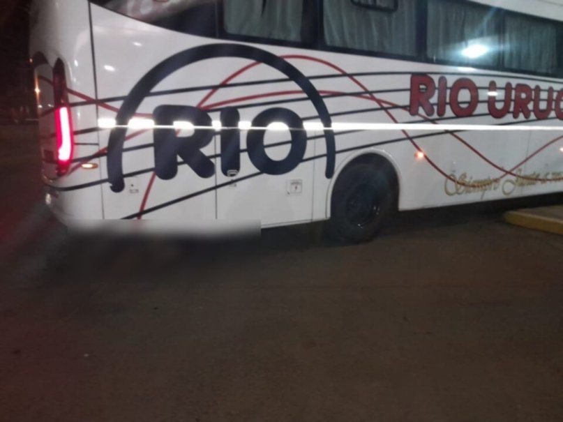 colectivo-virasoro