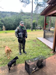 GATUNO SALVAJE