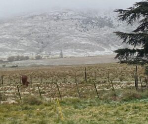 Nieve-en-Buenos-Aires-advierten-por-la-llegada-de-frio-polar