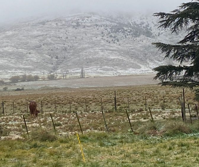 Nieve-en-Buenos-Aires-advierten-por-la-llegada-de-frio-polar